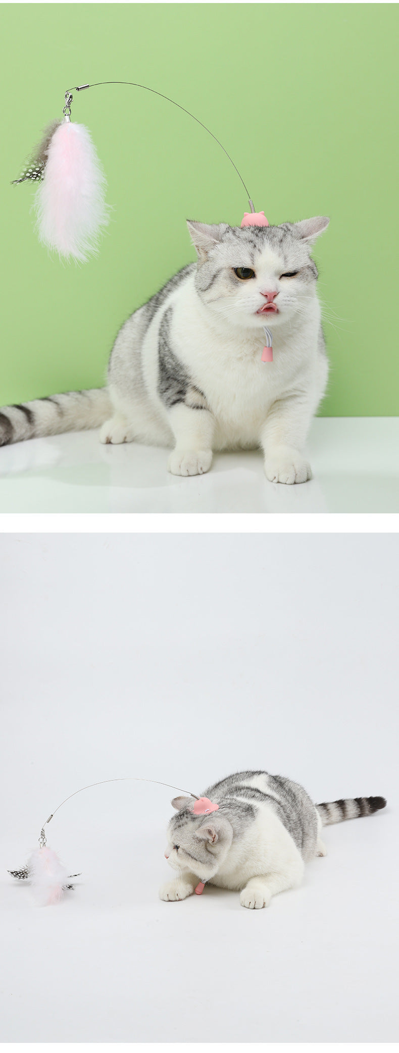 Hands-Free Cat Feather Teaser – Play With Your Cat Without Lifting a Finger