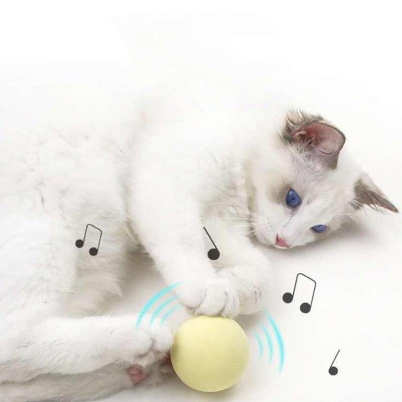 Chirping Catnip Ball – The Cat Toy That Drives Cats Absolutely Wild