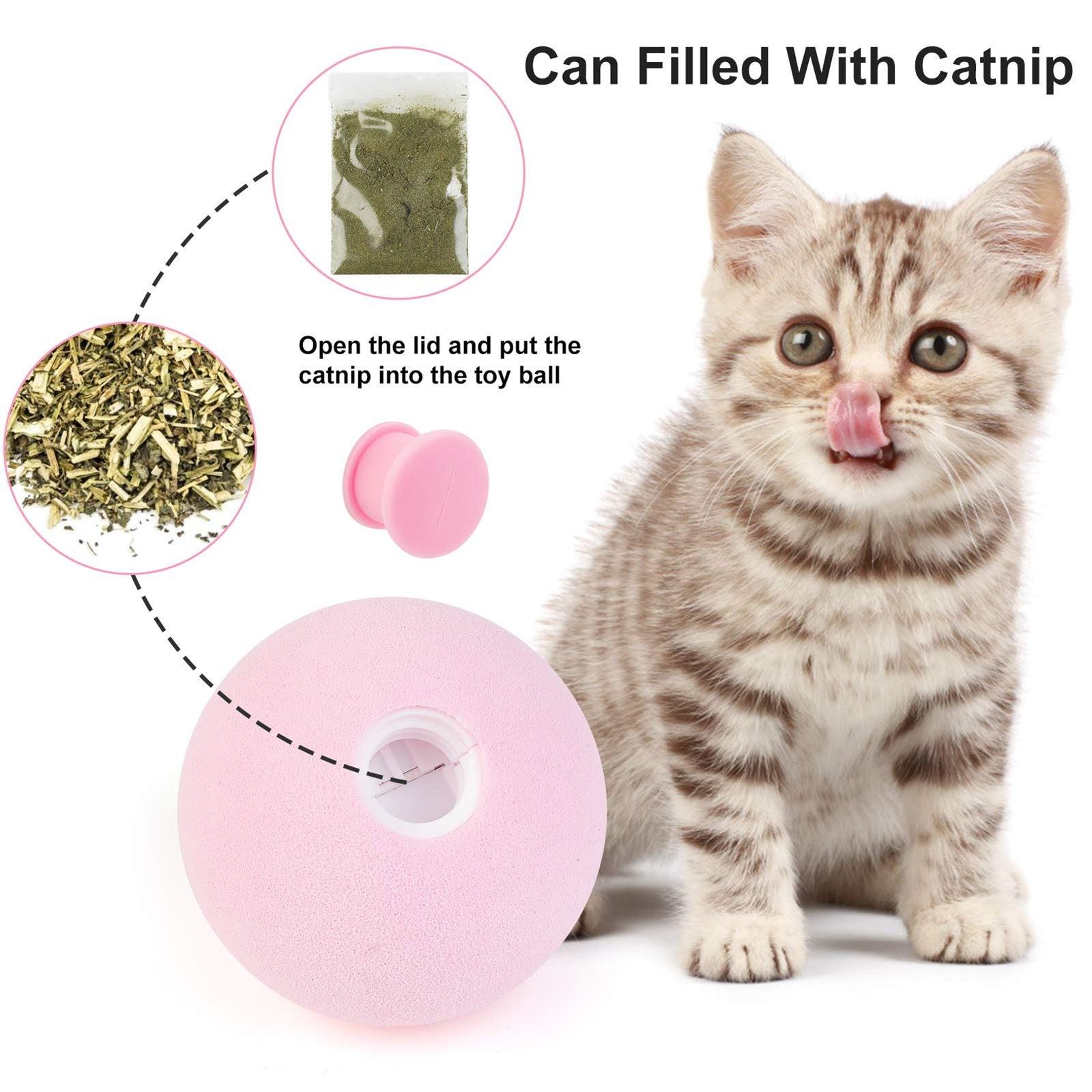 Chirping Catnip Ball – The Cat Toy That Drives Cats Absolutely Wild