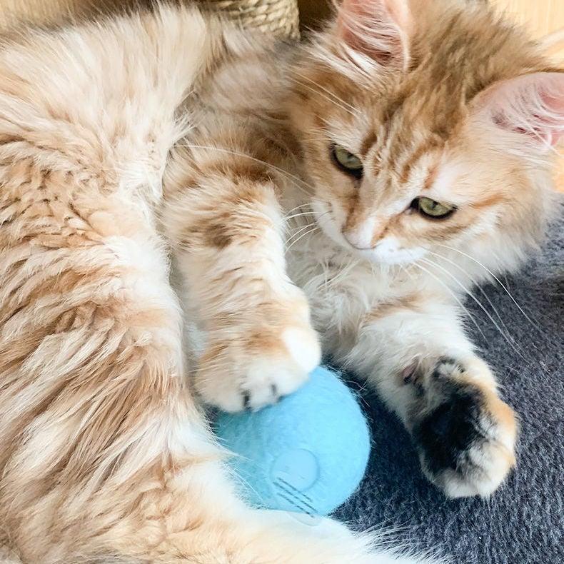 Chirping Catnip Ball – The Cat Toy That Drives Cats Absolutely Wild