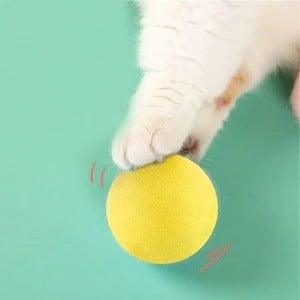 Chirping Catnip Ball – The Cat Toy That Drives Cats Absolutely Wild