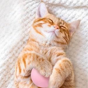 Chirping Catnip Ball – The Cat Toy That Drives Cats Absolutely Wild